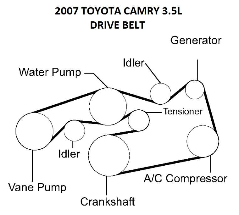 2007 Toyota Camry 3.5L Drive Belt