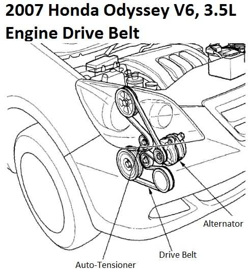 2007 Honda Odyssey 3.5L Engine Drive Belt