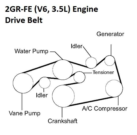 Toyota 2GR-FE Engine (V6, 3.5L) Drive Belt