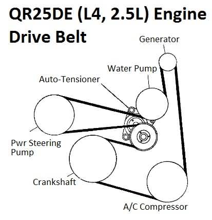 Nissan QR25DE Engine (2.5L) Drive Belt